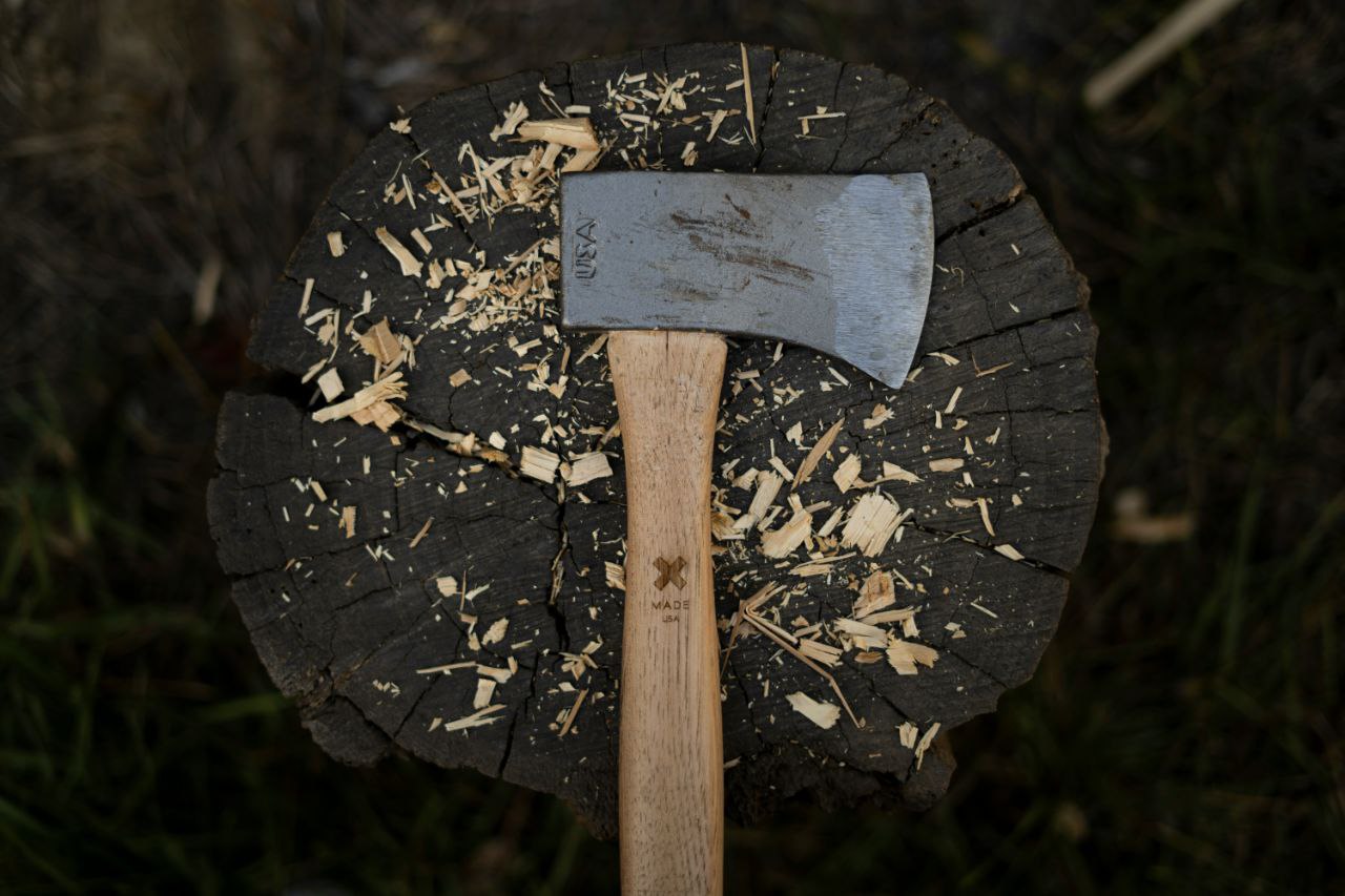 An axe resting on a tree stump with wood shavings